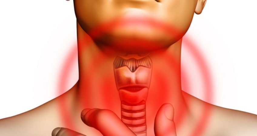 щитовидна железа